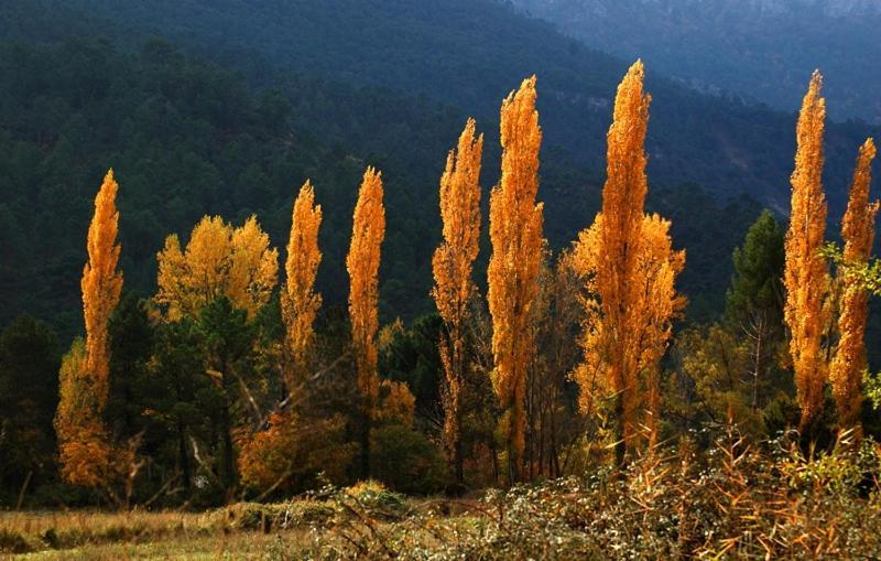 Casa Rural Nacimiento Rio Mundo Riópar Kültér fotó